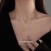 Banyan Tree S925 Silver Zircon Teardrop Necklace - Niche Design, Light Luxury Clavicle Chain for Women.