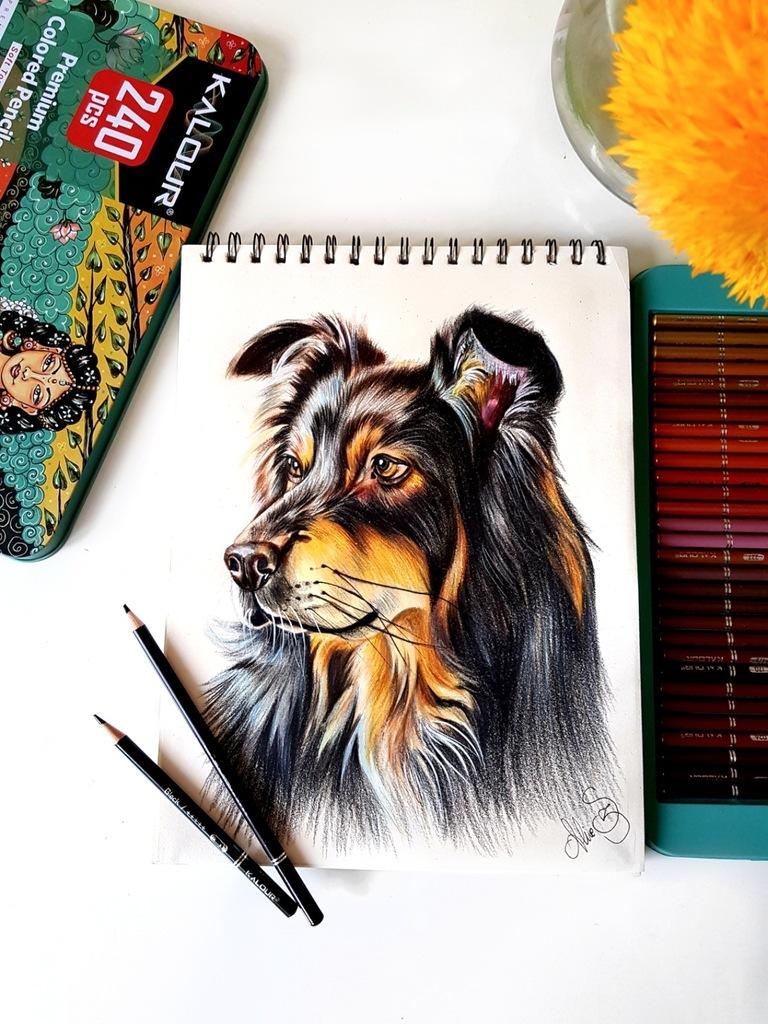 Kalour 240 professional colored pencils set
