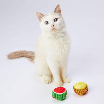 Игрушка для кошек Petio, набор из 2 мячей с тропическими фруктами, ананас/арбуз