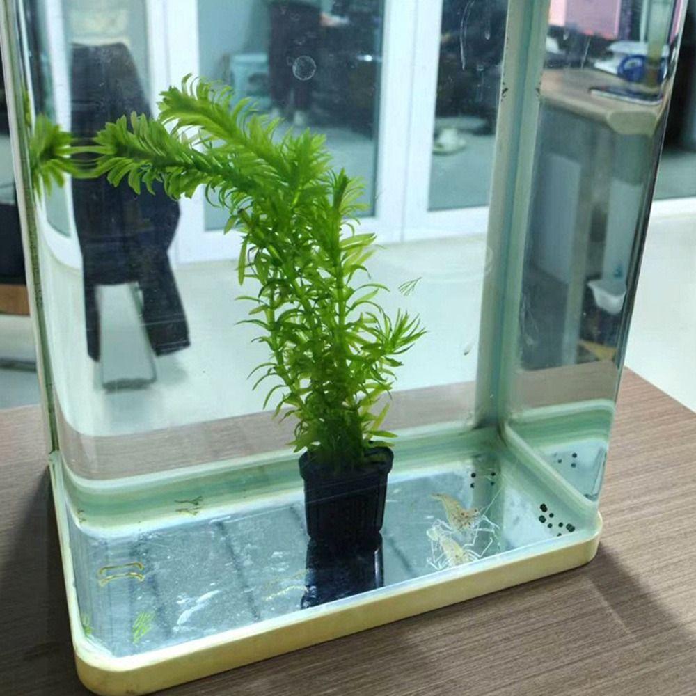 Glass Pot Fish Tank Hydroponic Planting Basket for Tanks Aquascape Decorations