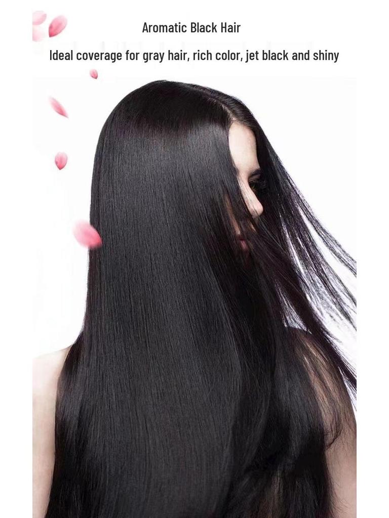 Plant-Based Hair Dye Cream: Non-Staining, Gray Hair Coverage, Home Use, 500ml (Pack of 2)