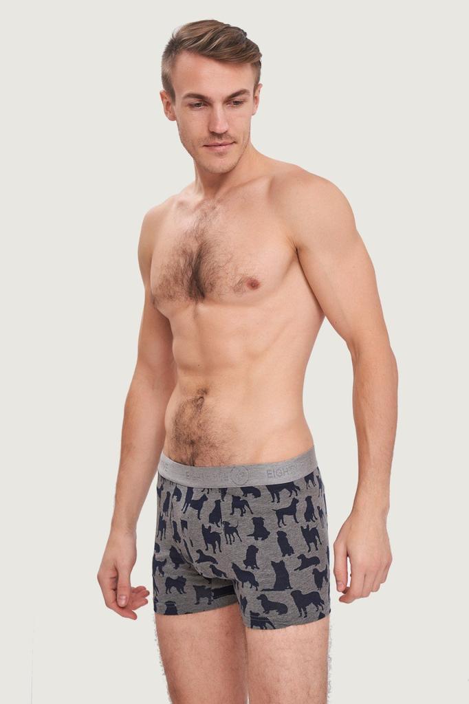 Трусы боксеры, 2 штуки John Frank (90600)