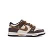 Nike Dunk Cushioning Abrasion Resistant Lightweight Low top Skateboard Shoes Unisex Brown DD1391-100(Team354-)