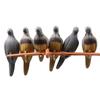 Simulated Pigeon Archerys Baits Targets Foam Animal Baits Targets Decoration Shooting Targets for Outdoor Hunting Games