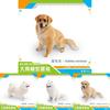 Pet Dog Replica Pvc Model For Childrens Learning Toy And Desktop Animal Display