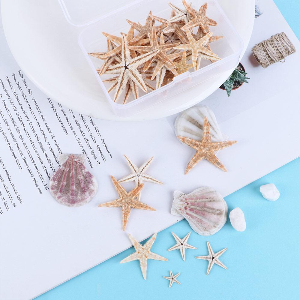 Ракушки Эпоксидная смола для водных питомцев Морская звезда Украшение аквариума Литье смолой Принадлежности для аквариума
