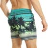 RIPT Essentials Mens Palm Tree Swim Shorts