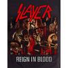 Футболка унисекс для взрослых Slayer Reign In Blood