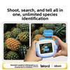 AI Intelligent Photography Learning Device for Children and Primary School Students - Photo Image Recognition Data Learning Camera