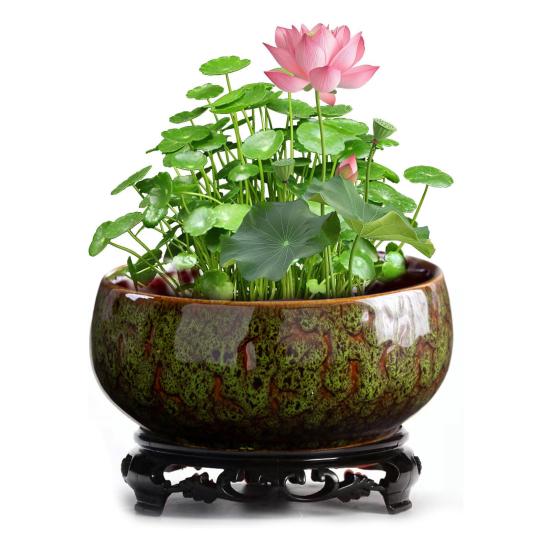 Керамический горшок для лотоса, крупнокалиберная непористая круглая ваза, цветная глазурь для нарциссов, цветочный горшок для водных растений, чаша для лотоса, гидропоника