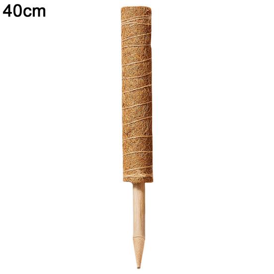 Внутренний столб для вьющихся растений, удобная опора для растений из кокосового мха и лиан