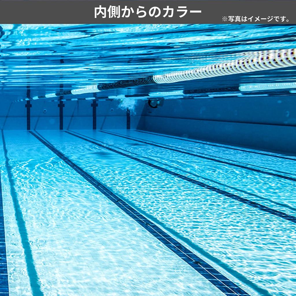 SWANS Made In Japan Swimming Goggles SW-46re CLA Clear Fitness Adult Large Lens Antibacterial Cushion