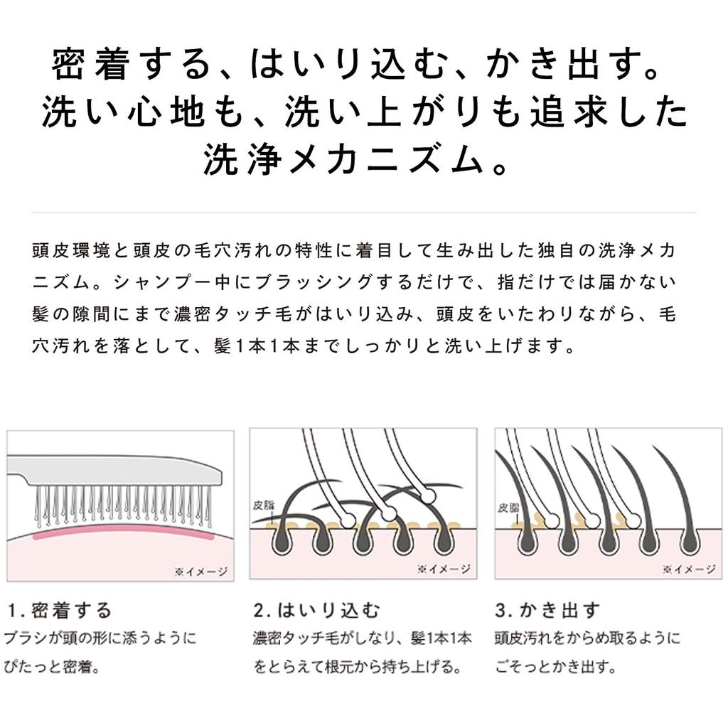 Store ReFa ION CARE BRUSH PREMIUM New Color [Official Only]