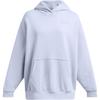 Icon Hooded Pullover Casual Solid Long Sleeve Sweatshirt Women Sweatshirt Cloud-Blue 1386501-464