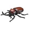 TAKARA TOMY Ania AS-37 Жук Насекомое Игрушка (Возраст 3+)