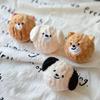 Squeaky Puppy Ball Toy - Spiked Bouncing Chew for Teeth Cleaning, Interactive Pet Toy for Small Dogs & Cats (Poodle/Bichon)