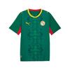 Puma Сенегал 2026 Выездная футболка 'Wild Green PUMA Red' Мужская 783171-02