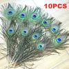 10pcs Peacock Feather Wedding Festival Party Home Decoration DIY Jewelry