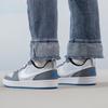 Nike Court Borough Low Recraft 'Platinum Cool Grey Photo Blue' GS DV5456-019