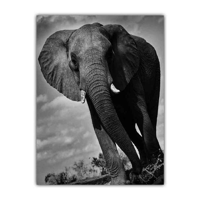 Animal Canvas Painting Elephant Black and White Poster Office Wall Painting Living Room Corridor Home Decoration Mural No Frame