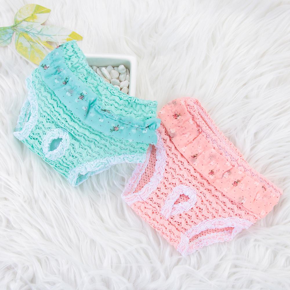 & Living Шифоновое нижнее белье Эластичные трусики для собак Физиологические штаны для домашних животных Подгузники для щенков Товары для кошек