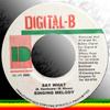 7-дюймовая пластинка SINGING MELODY Say What NONE DigitalB 2000 Ямайка Регги Ска Даб Б/у