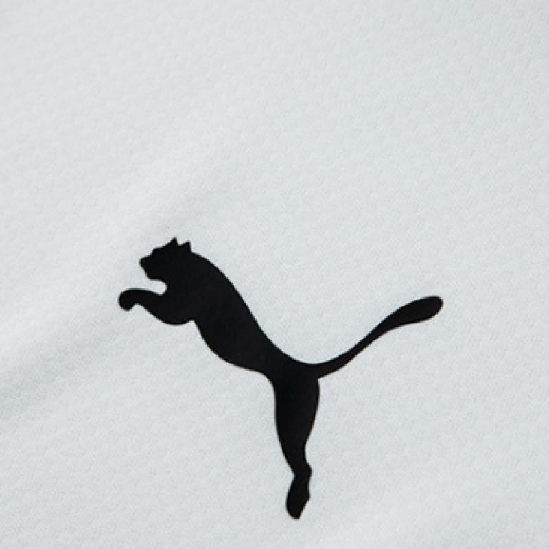 Puma Galleria Puma Team Goal Polo Mens ShorT Sleeve T shirT whiTe