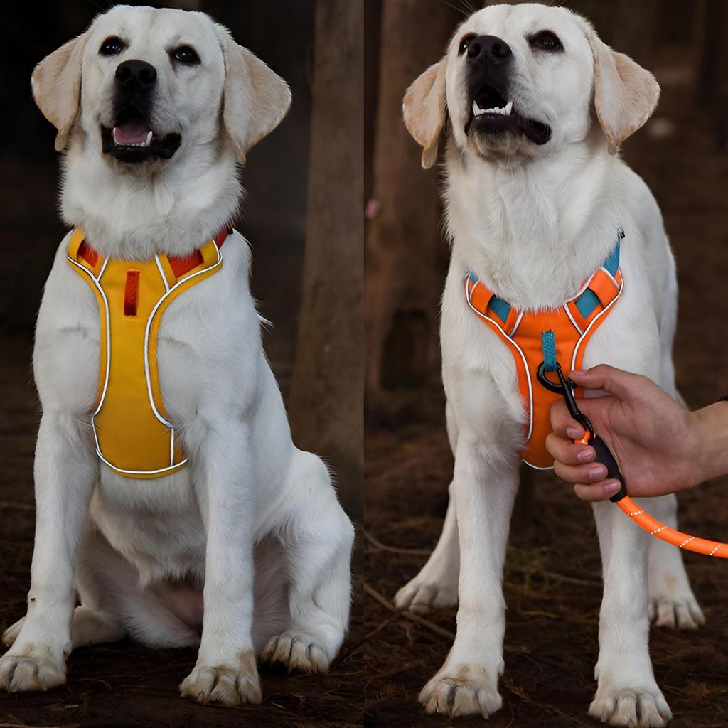 Paipeper Dog Harness for and Large with Chest Easy To Put Stylish for Walking Small, Medium, Dogs, Pad, Anti-Pull, Reflective, Adjustable, On,