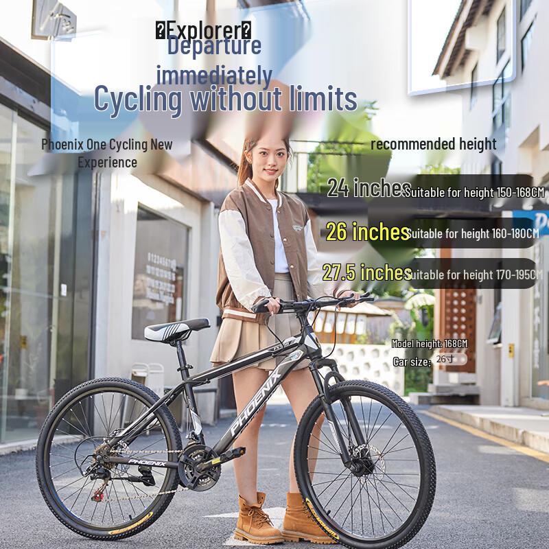 Phoenix Explorer 24-Speed Mountain Bike