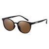 Поляризационные Солнцезащитные Очки Boston Glasses 01 Черный [Shimano] UJ-053Y Коричневый/Матовый