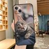 Применимый чехол для мобильного телефона iPhone16, новый чехол для мобильного телефона с изображением пары животных и милых кошек, чехол для мобильного телефона с изображением кошек