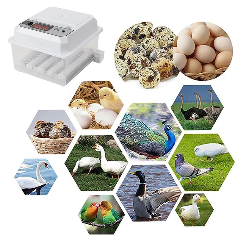 16 яиц ферма птица полностью автоматический поворотный инкубатор яйца двойной электрический мини бытовой брудер для кур гусей уток птиц