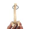 Миниатюрный брелок в виде человеческого позвоночника - модель скелета поясничных позвонков