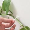 Упаковка 10 шт. Клипсы для крепления растений к стене, фиксатор лозы ротанга, самоклеящийся крючок, невидимый садовый зажим для подвязки, настенная липкая клипса