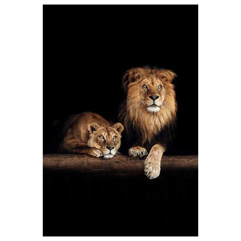 Дикие африканские львы в темноте, холст, картина на стене, художественные постеры и принты, черно-белые фотографии животных, домашний декор
