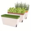 10.5" Self-Watering Windowsill Planter Kit:Plastic Herb Garden Set with Visible Water Level Indicator - Suitable for Indoor Herbs, Vegetables