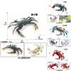 Crab Ocean Life Plastic Model Toy For Children Learning Marine Biology And Aquarium Decor