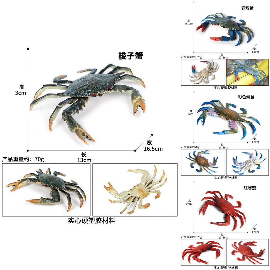 Crab Ocean Life Plastic Model Toy For Children Learning Marine Biology And Aquarium Decor