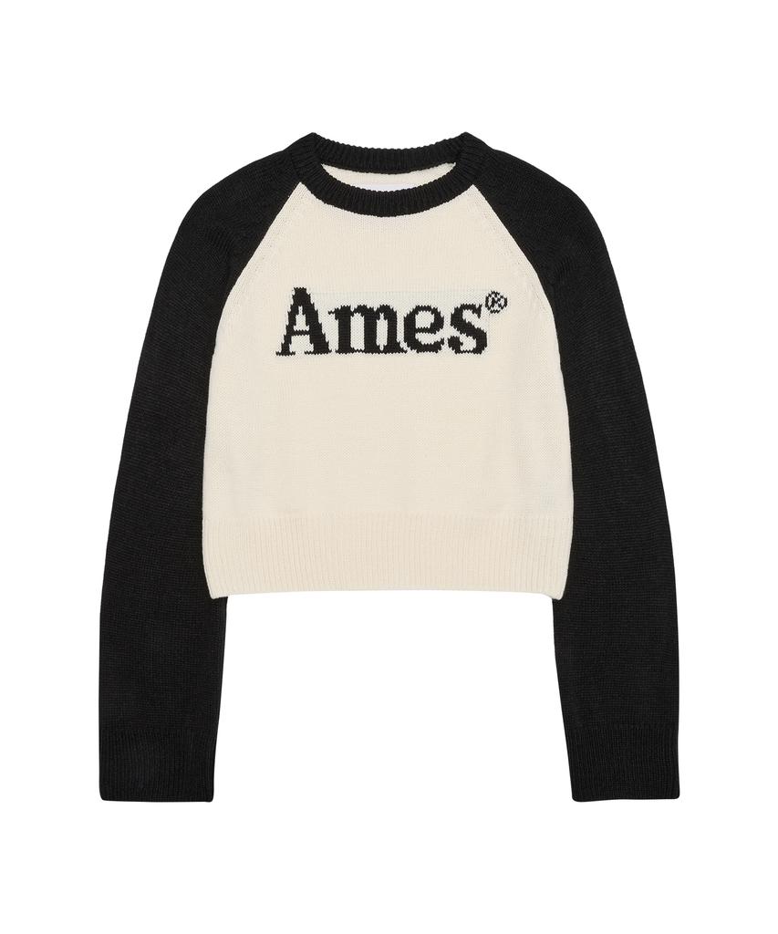 AMES-WORLDWIDE Basic Raglan Pullover Knit Ivory