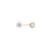 [Rosemont] Silver Earrings Rc0274