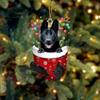 Acrylic Dog Christmas Tree Pendant Good-Looking Handmade Dog Christmas Ornament Hanging Cartoon Christmas Decoration Office