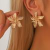 Accessories Circle Hollow Fan Circle Metal Earrings Women'S French Retro Elegant Niche Premium