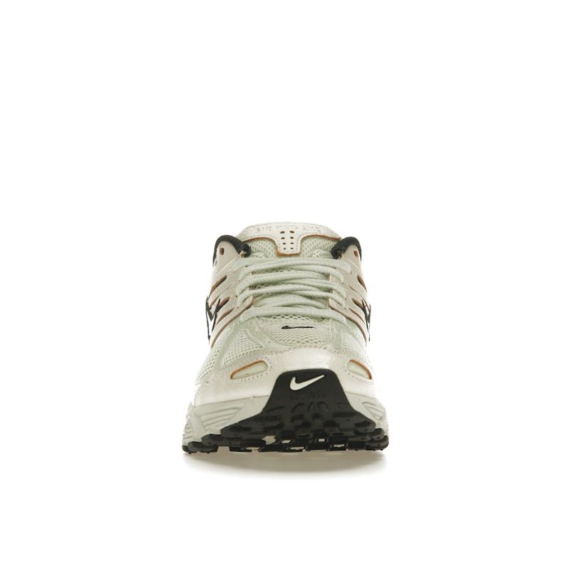 Nike Air Pegasus 2005 (Воздушный колышек 2K5) FQ3571-001