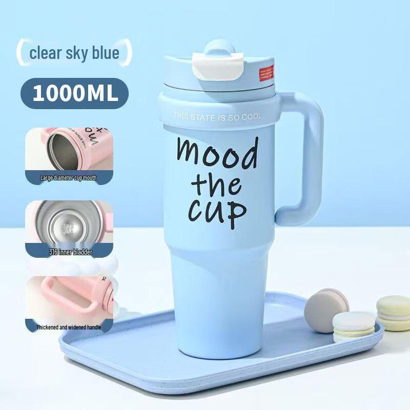 Large Capacity Insulated Straw Tumbler