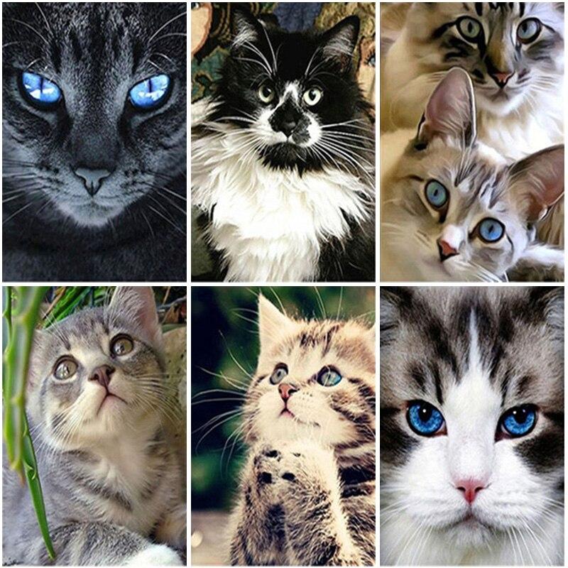 DIY 5D алмазная живопись кошка Алмазная вышивка крестиком полная круглая/квадратная картина с животными из горного хрусталя мозаика Настенный декор