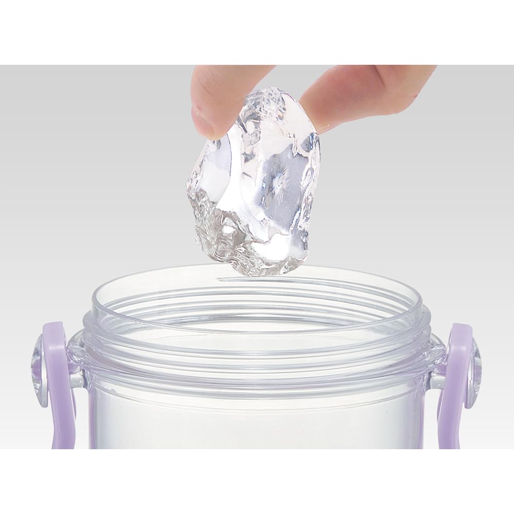 Skater Бутылка для воды 480 мл Disney Rapunzel on the Tower 24 Пластиковая прозрачная бутылка для детей Сделано в Японии PSB5TR-A