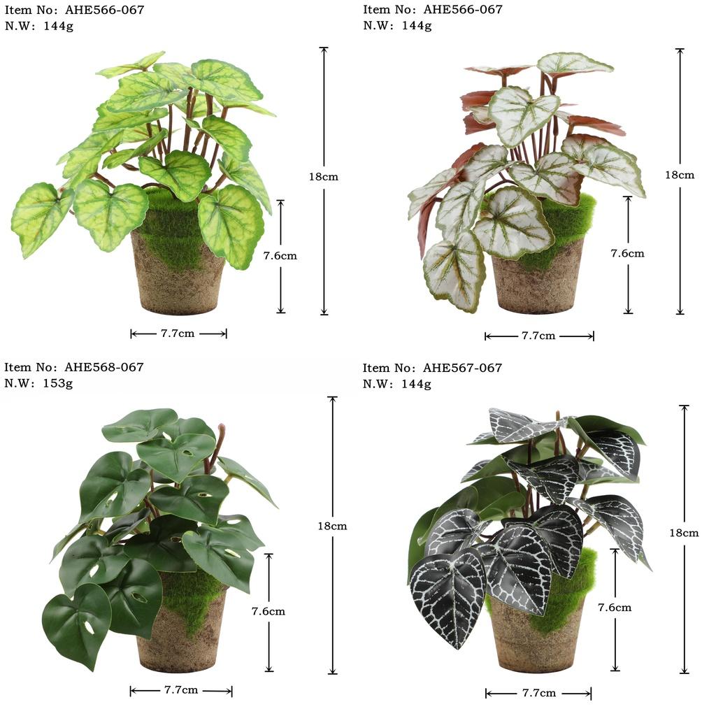 Искусственные зеленые растения для настольного украшения в помещении Эвкалипт Лист банана Спина черепахи Маргаритка Гибискус