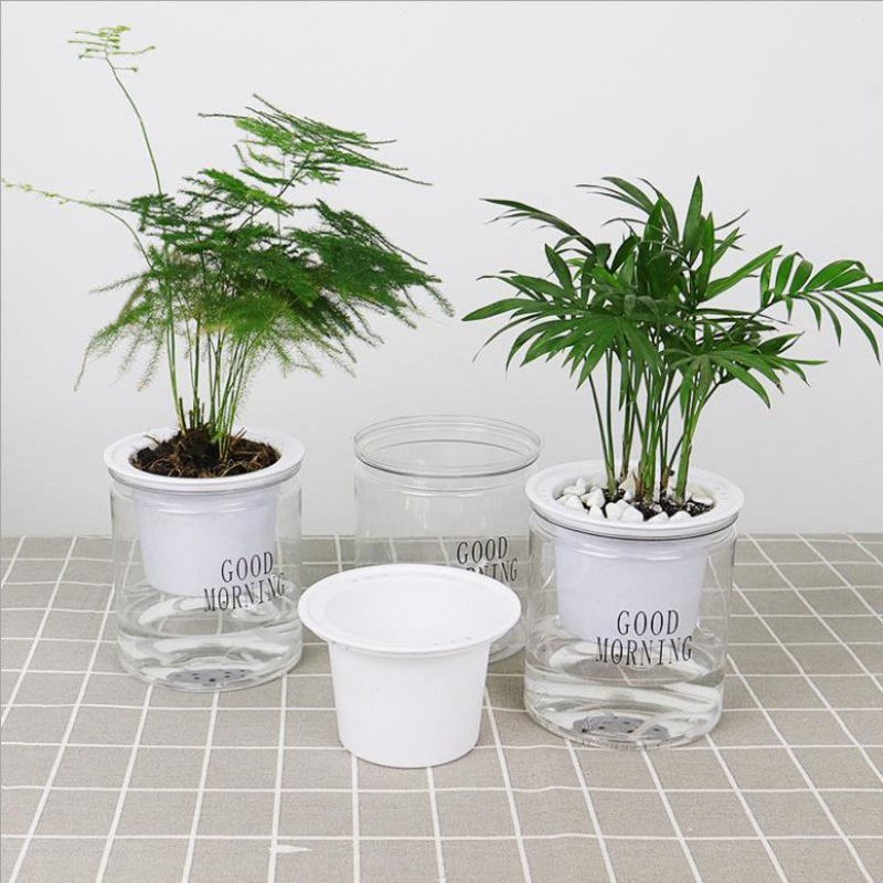 Round Hydroponic Plant Pots Self-watering Flowerpot Flower Pot Creative Succulent Automatic Water Absorption