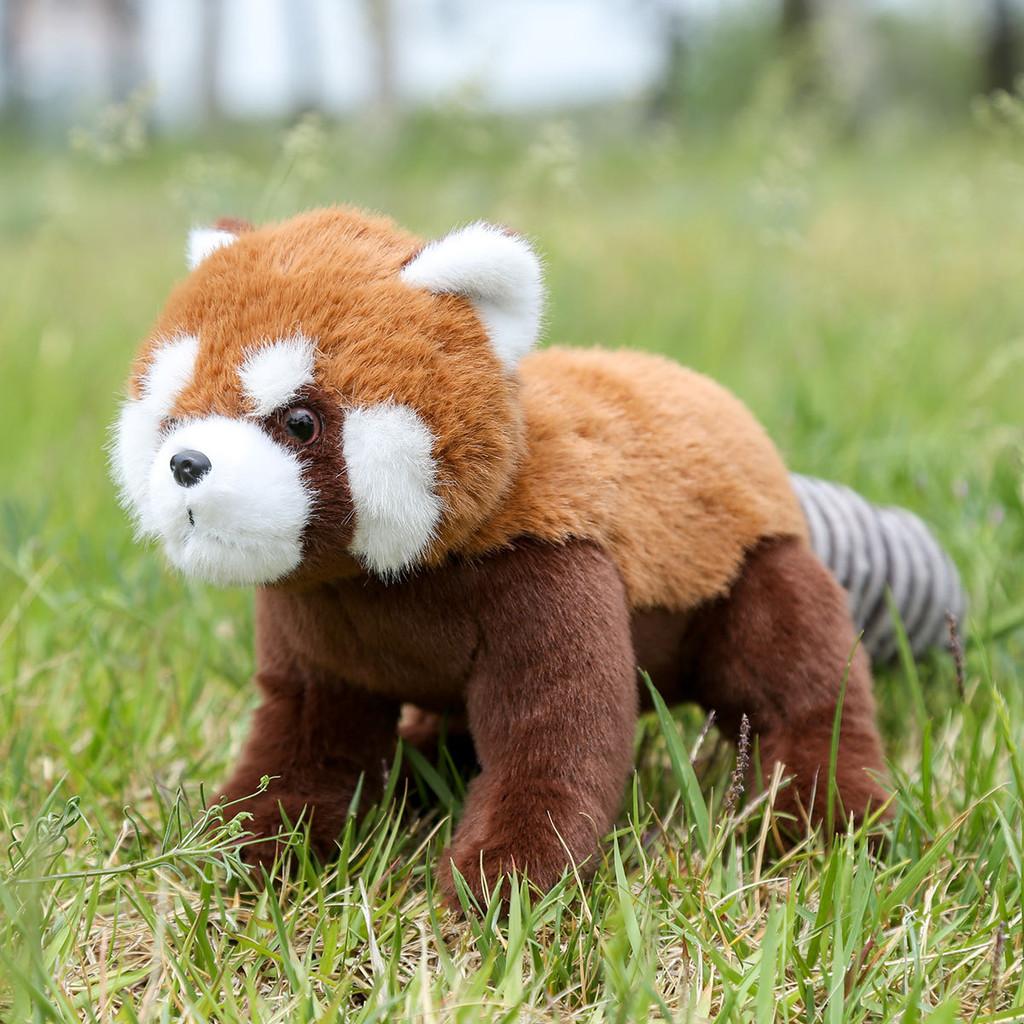 Raccoon Panda Red Animal Plush Fluffy Exterior Children Room Comfort Decoration