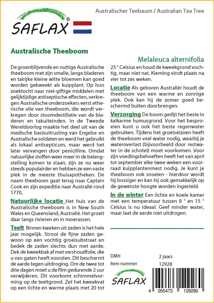 SAFLAX Австралийское чайное дерево - 400 семян - Melaleuca alternifolia
